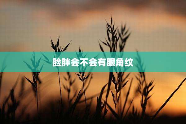 脸胖会不会有眼角纹