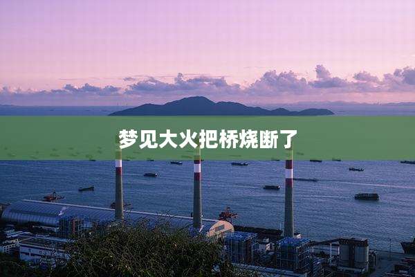 梦见大火把桥烧断了