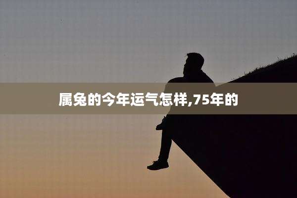 属兔的今年运气怎样,75年的