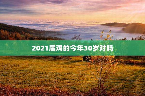2021属鸡的今年30岁对吗
