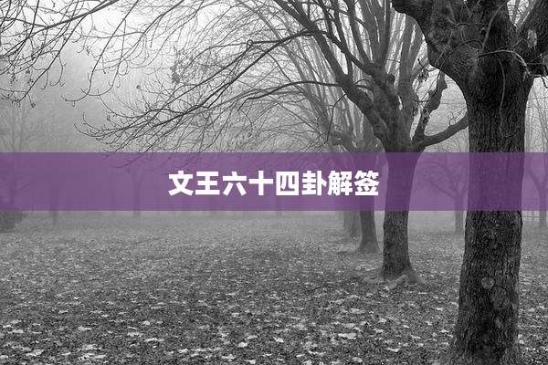 文王六十四卦解签