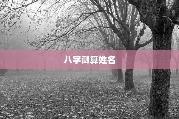八字测算姓名