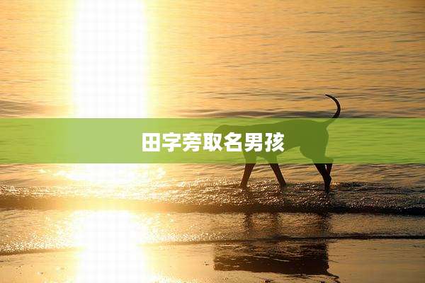 田字旁取名男孩