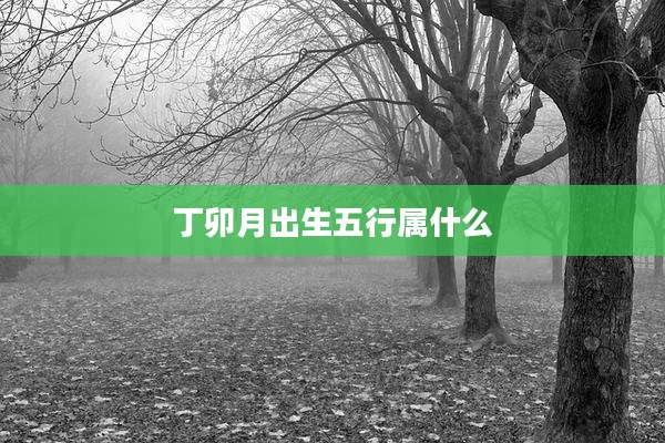 丁卯月出生五行属什么