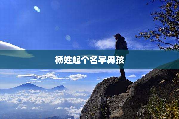 杨姓起个名字男孩