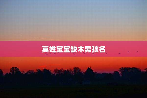 莫姓宝宝缺木男孩名