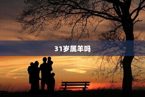 31岁属羊吗