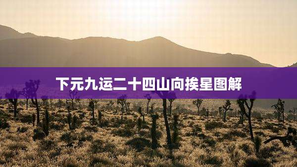 下元九运二十四山向挨星图解