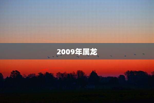 2009年属龙