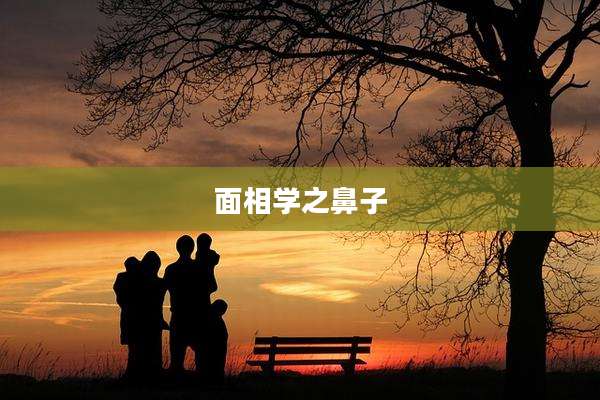 面相学之鼻子