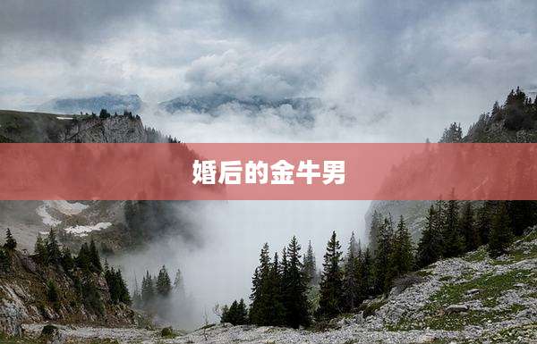 婚后的金牛男