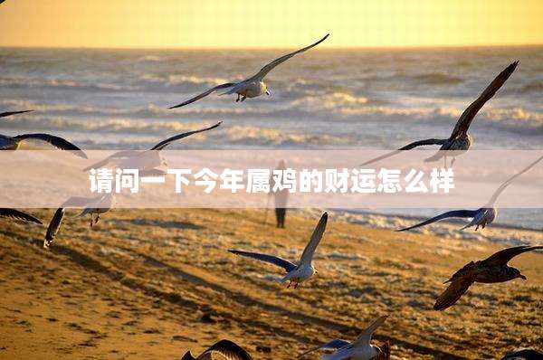 请问一下今年属鸡的财运怎么样