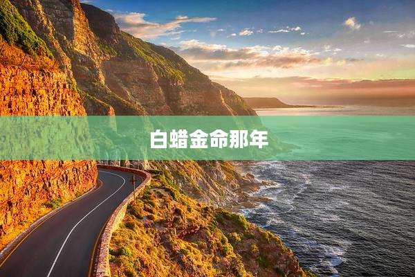 白蜡金命那年