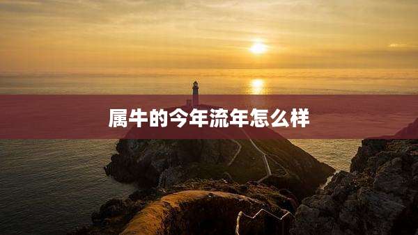 属牛的今年流年怎么样