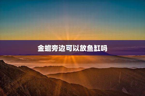 金蟾旁边可以放鱼缸吗