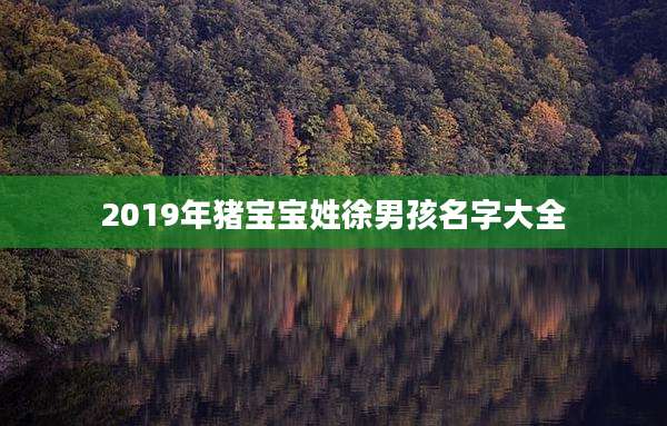 2019年猪宝宝姓徐男孩名字大全