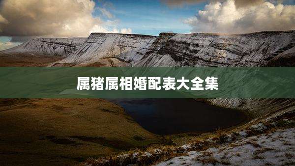 属猪属相婚配表大全集