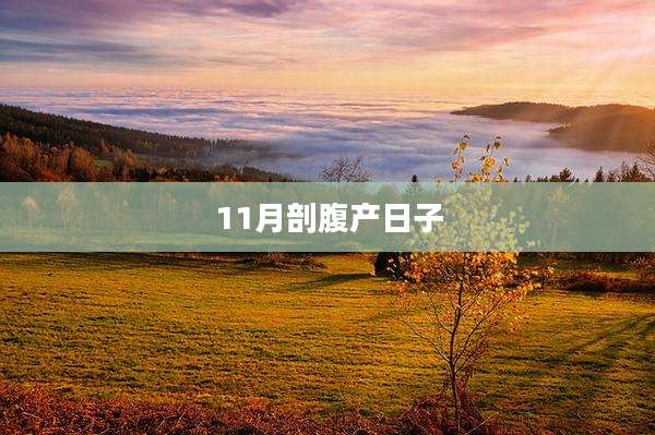 11月剖腹产日子