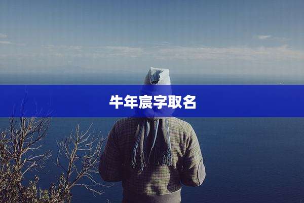 牛年宸字取名