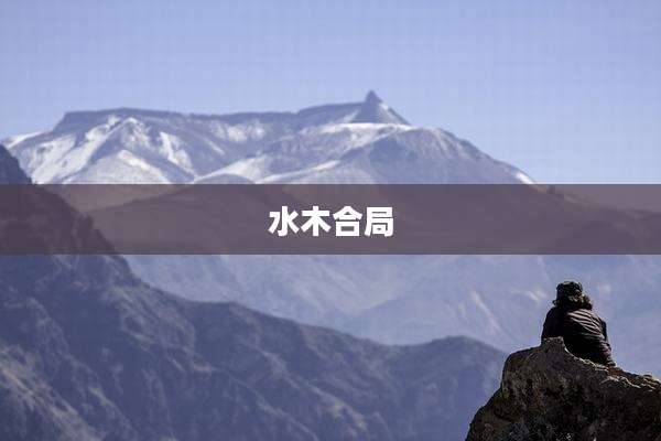 水木合局