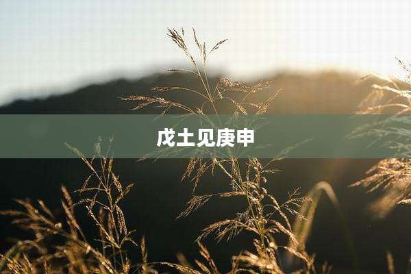 戊土见庚申