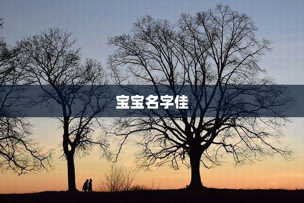 宝宝名字佳