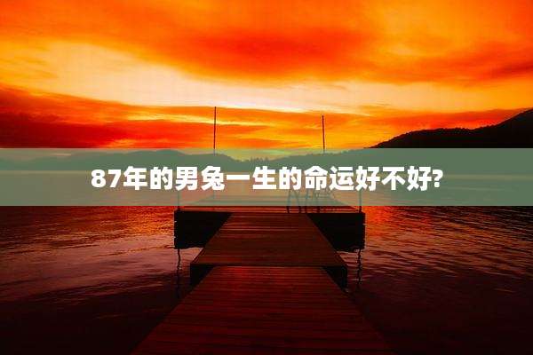 87年的男兔一生的命运好不好?