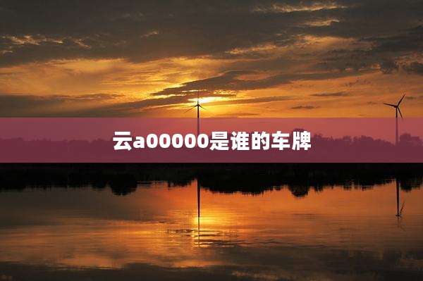 云a00000是谁的车牌