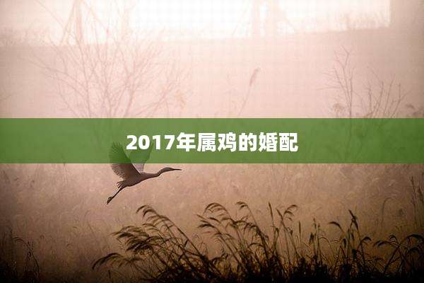 2017年属鸡的婚配