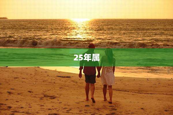 25年属