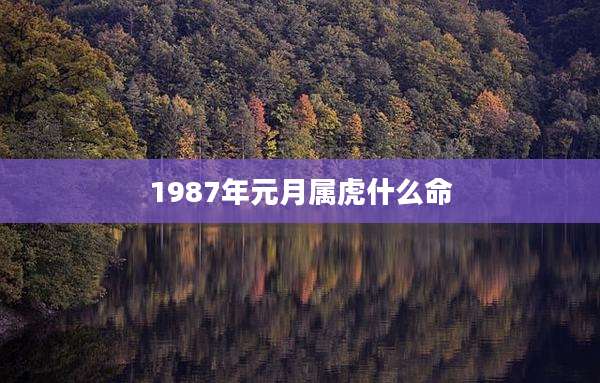 1987年元月属虎什么命