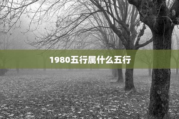 1980五行属什么五行