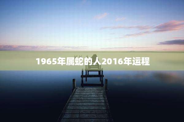 1965年属蛇的人2016年运程