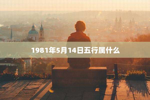 1981年5月14日五行属什么