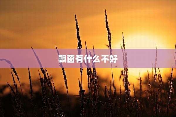 飘窗有什么不好