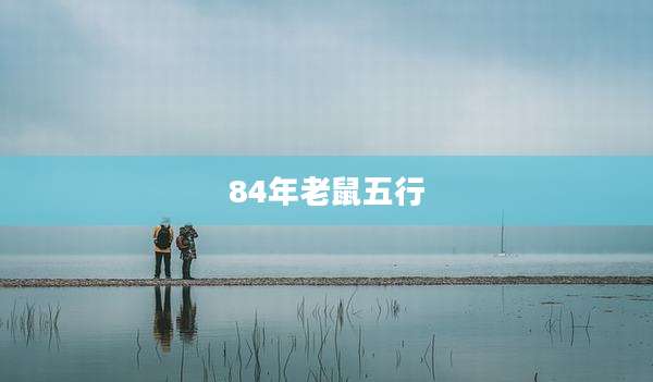 84年老鼠五行