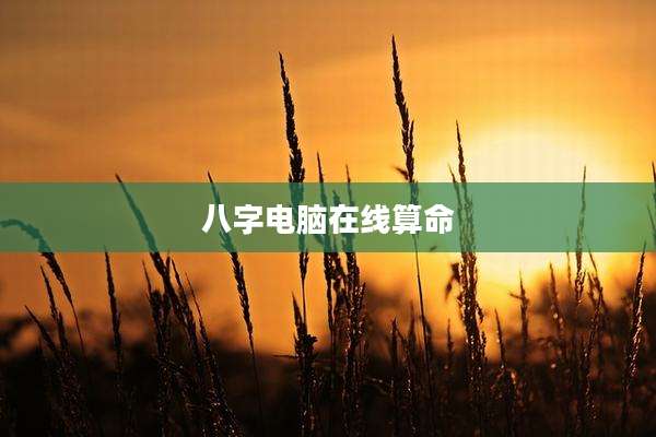 八字电脑在线算命