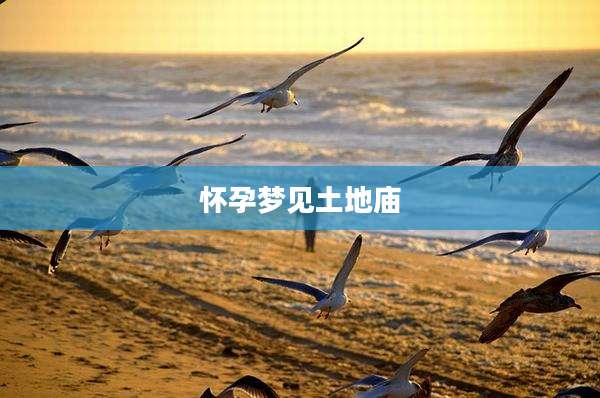 怀孕梦见土地庙