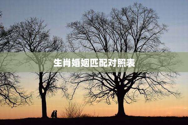 生肖婚姻匹配对照表