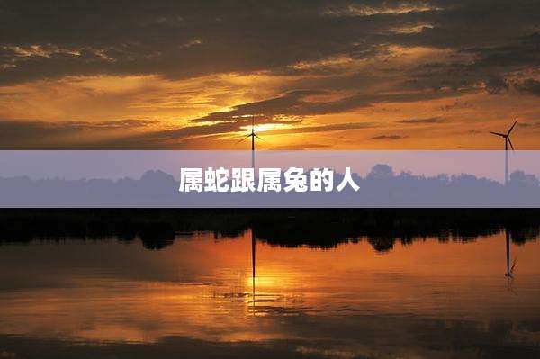 属蛇跟属兔的人