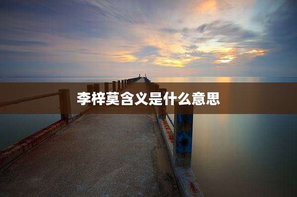李梓莫含义是什么意思
