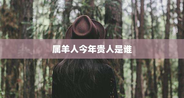 属羊人今年贵人是谁