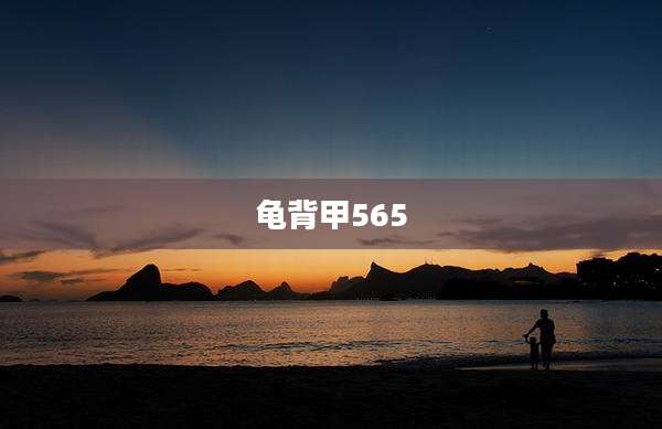 龟背甲565