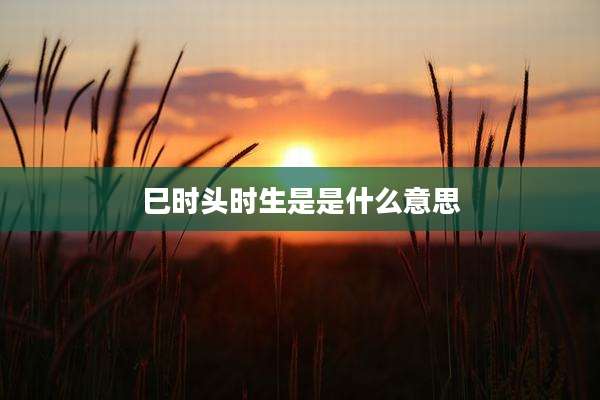 巳时头时生是是什么意思