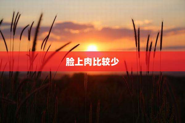 脸上肉比较少