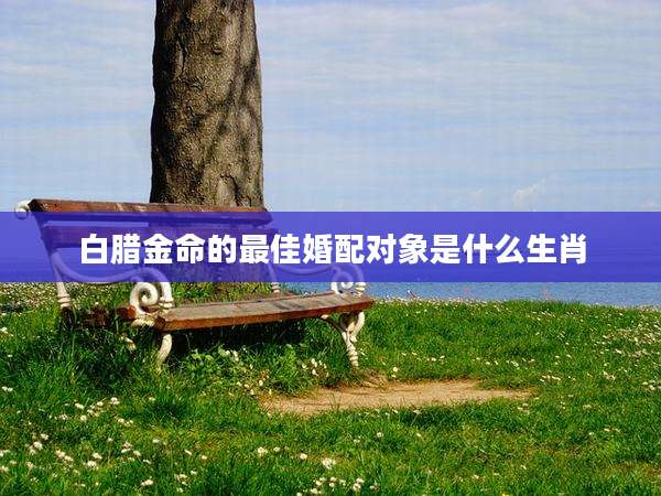 白腊金命的最佳婚配对象是什么生肖