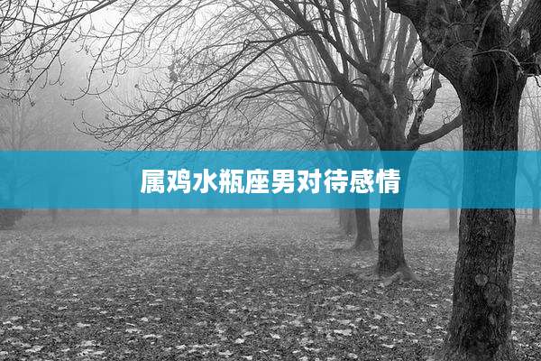 属鸡水瓶座男对待感情
