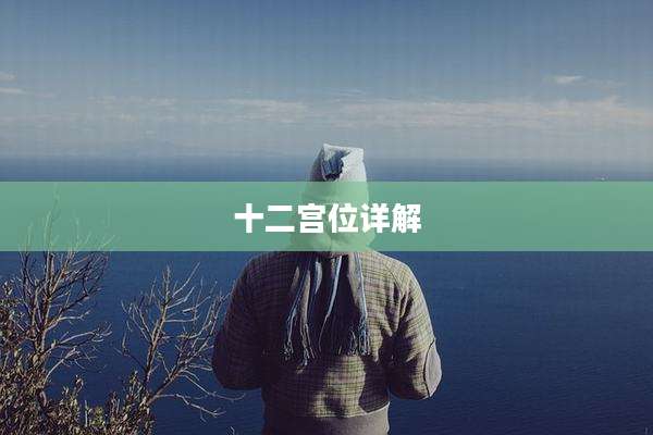 十二宫位详解