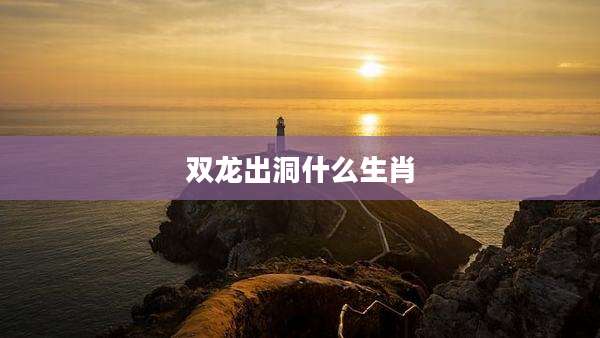 双龙出洞什么生肖