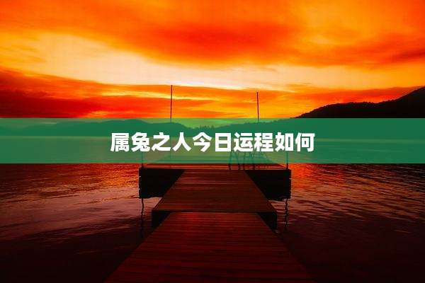 属兔之人今日运程如何
